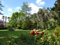 Jardins el Roquer: Punt de trobada de primavera