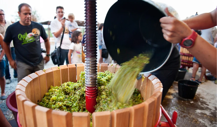 Celler La Vinyeta