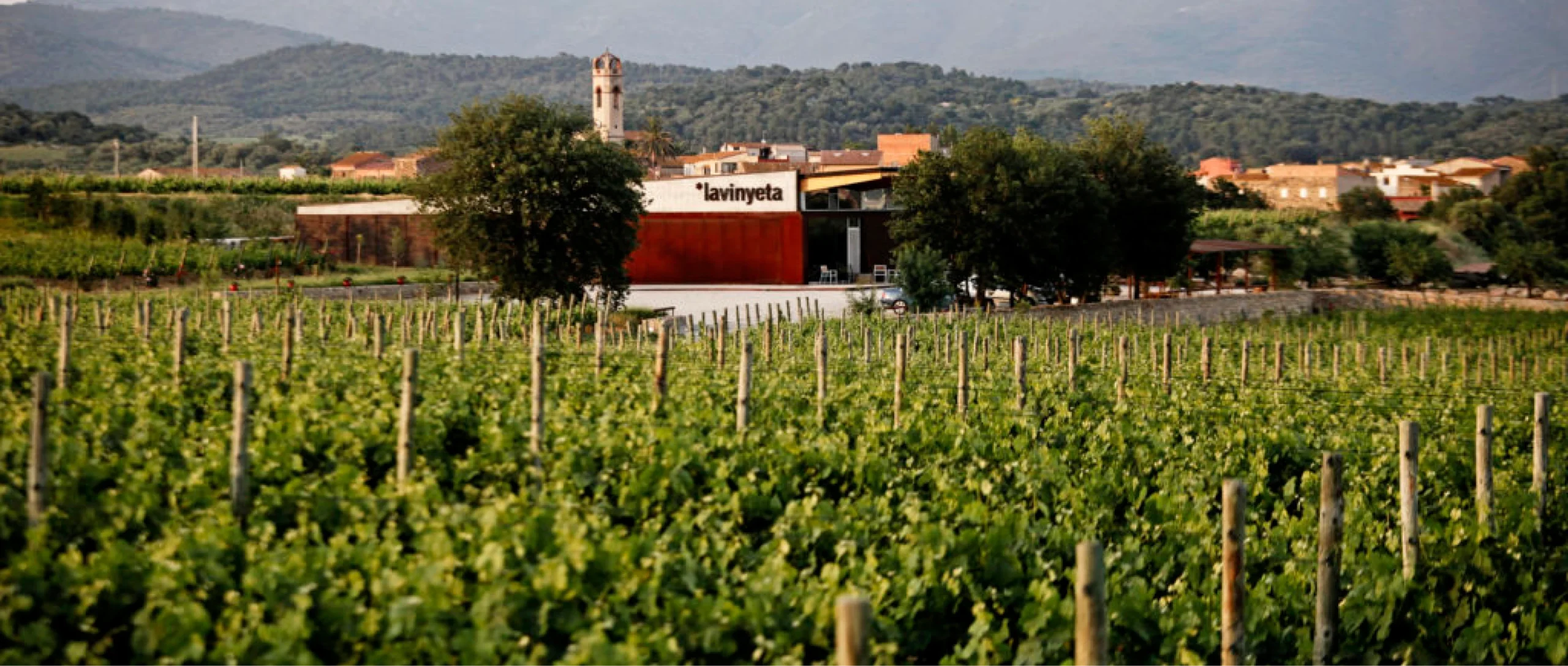 Celler La Vinyeta