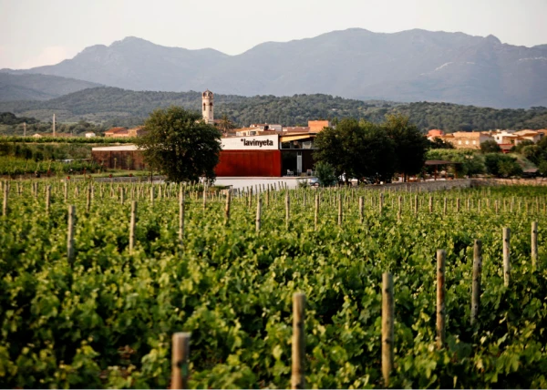 Celler La Vinyeta