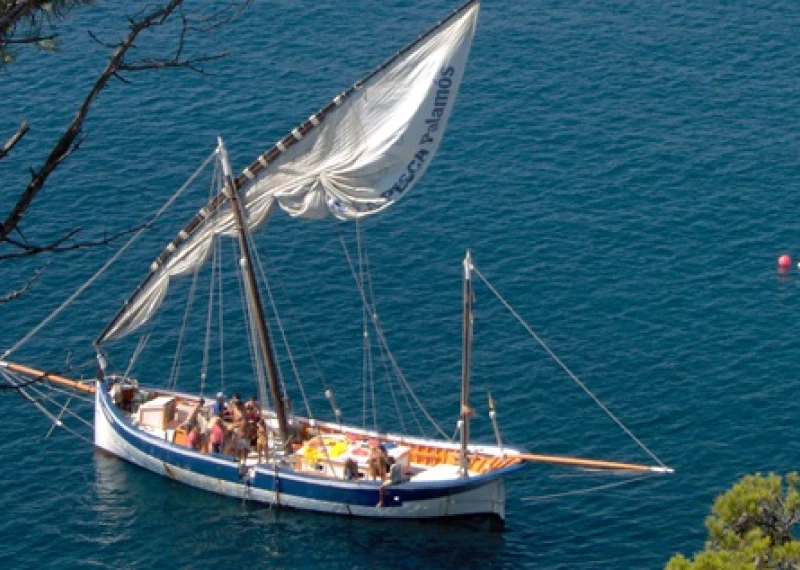 Tela Marinera