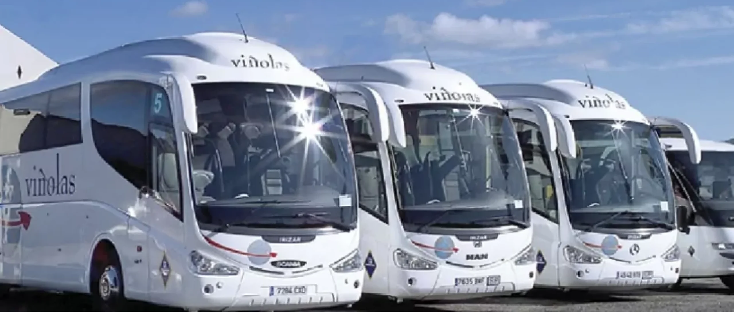 Viñolas
