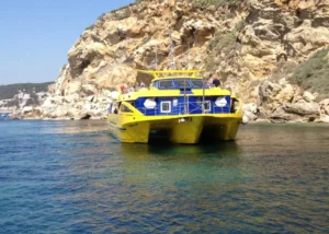 L’activitat del Nautilus