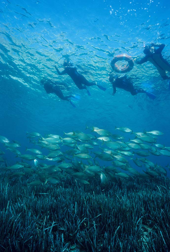 Ecosnorkel