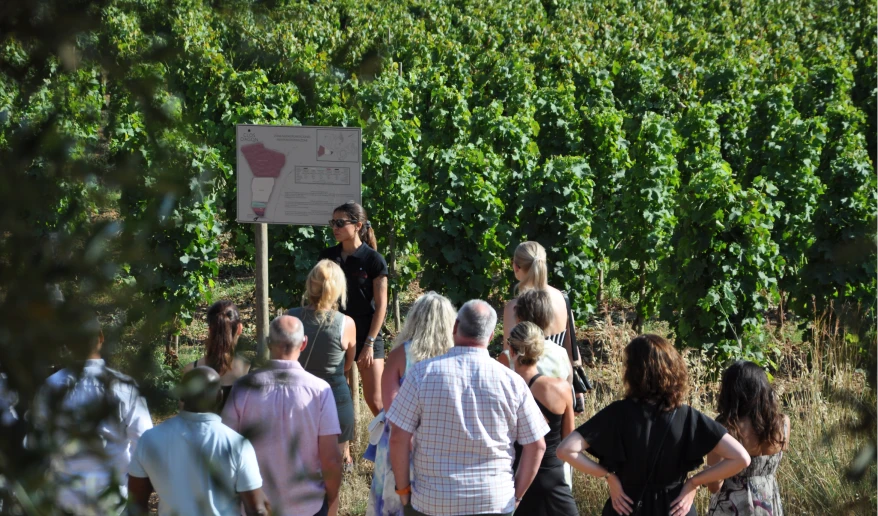 Celler Clos d'Agon