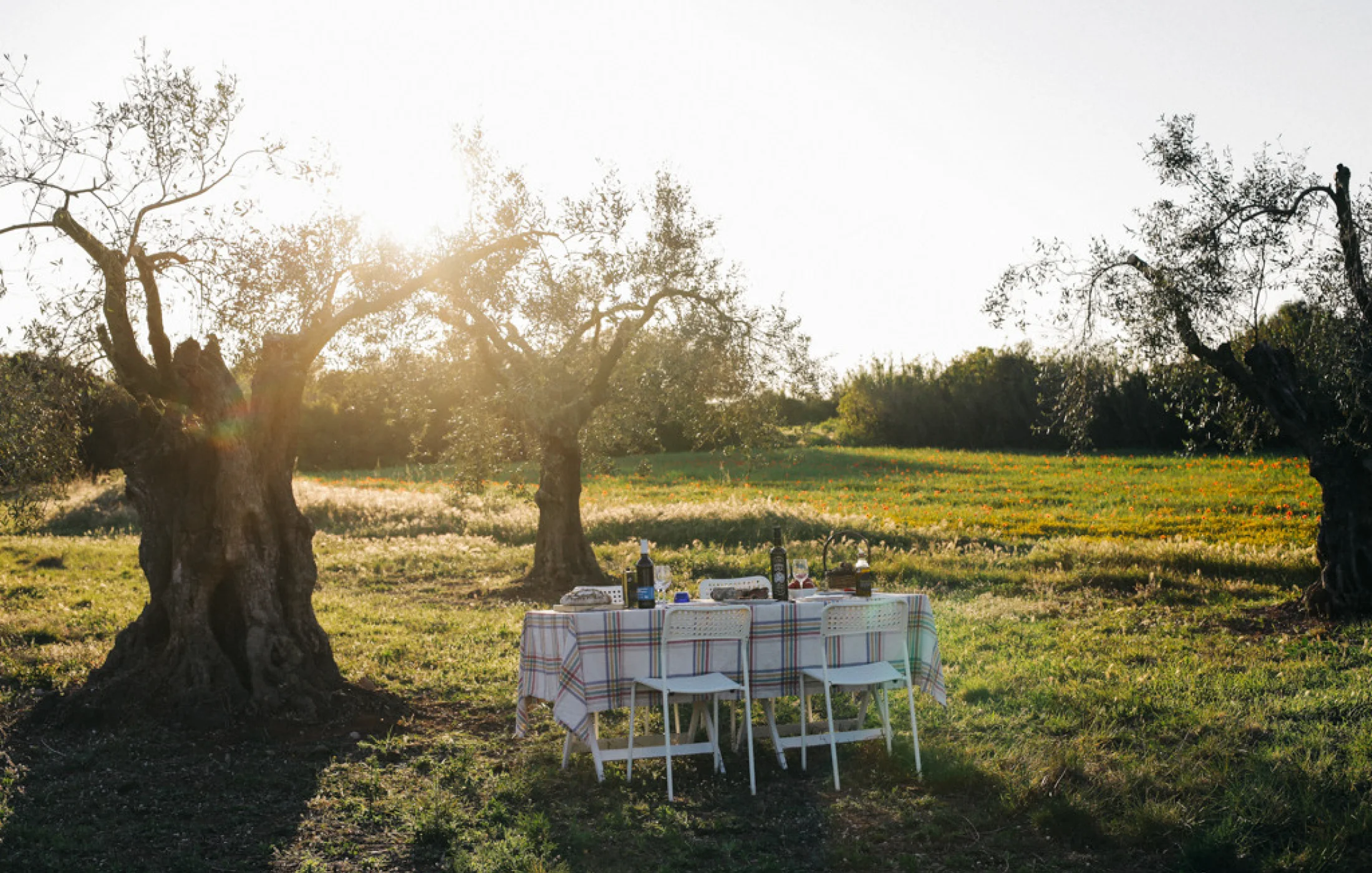 5 unforgettable food and wine proposals