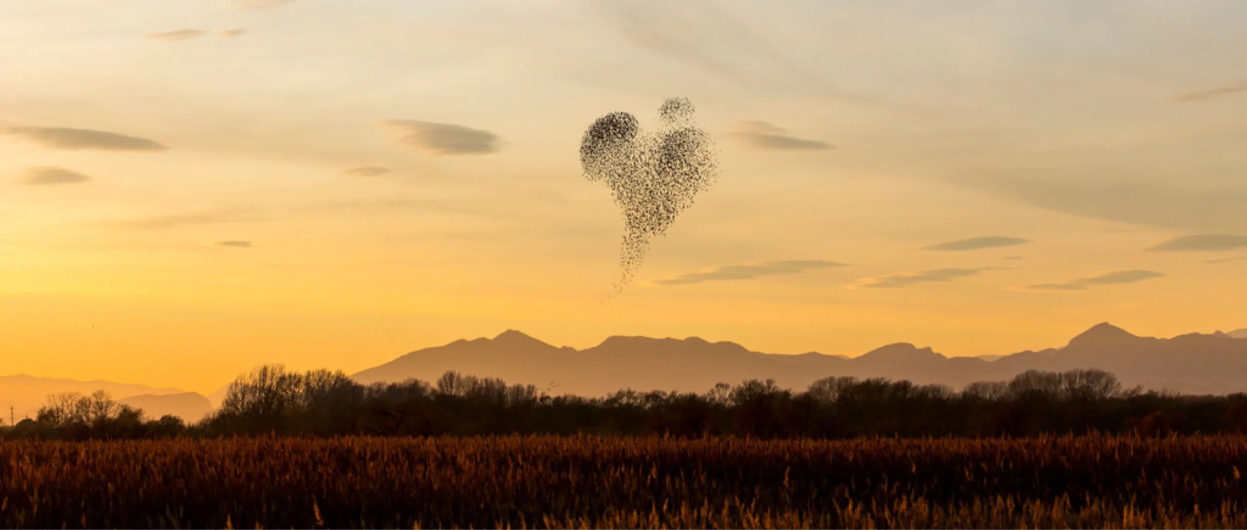 Certificaciones que impulsan el compromiso MICE con la sostenibilidad