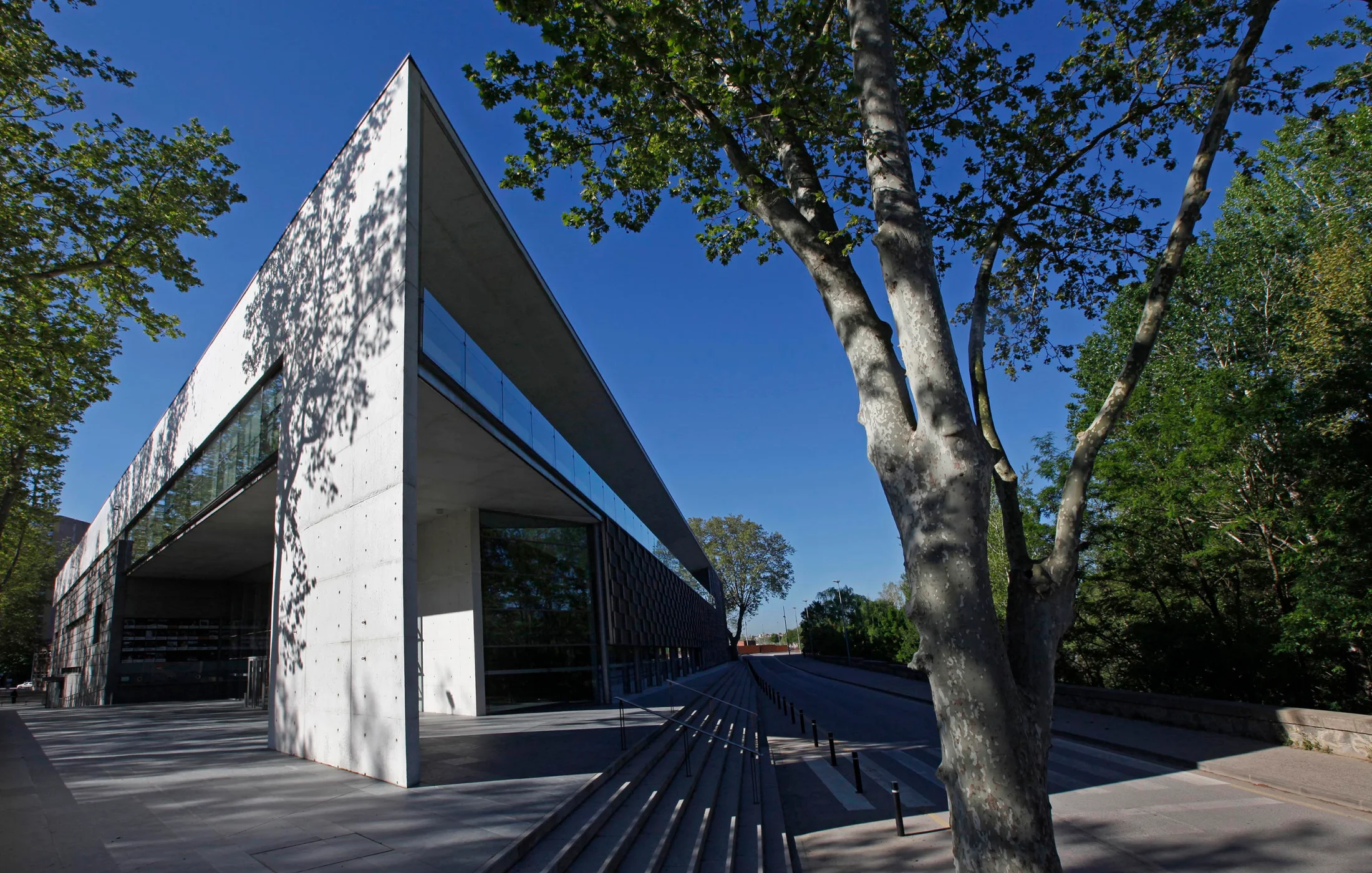 arp premsa auditori palau_003