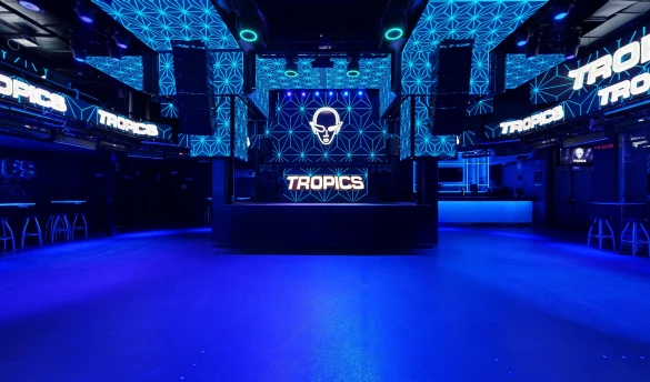 Disco Tropics