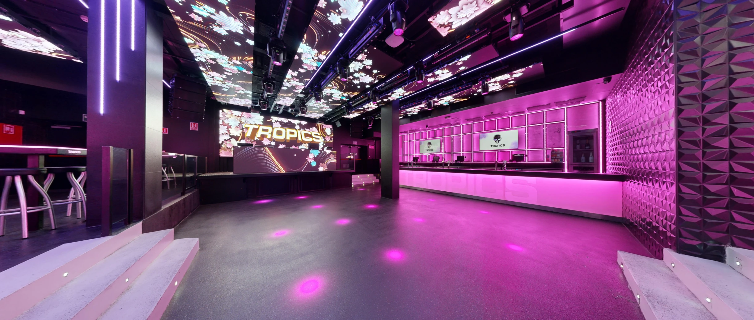 Disco Tropics
