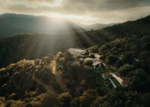 The Home in the Mountains
