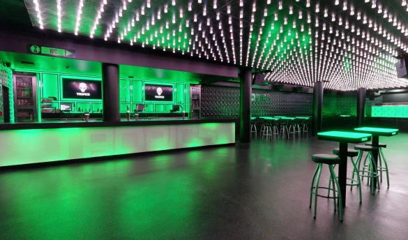 Disco Tropics