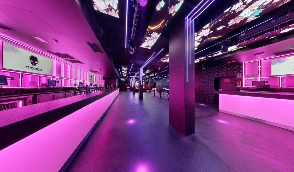 Disco Tropics